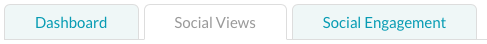 report tabs